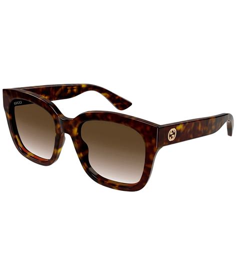 gucci avana avana sunglasses|Cat.